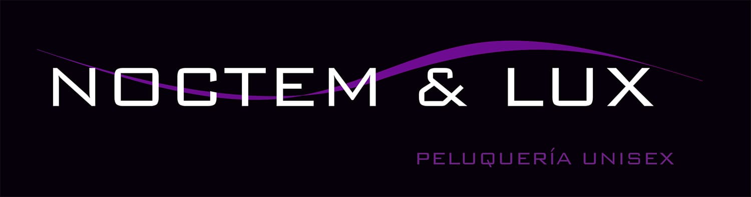 Logo Noctem y Lux